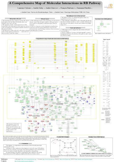 A comprehensive Map of Molecular Interactions in RB Pathway ...