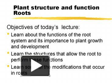 Plant structure and function Roots presentation | free to view