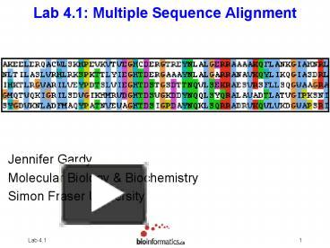 PPT – Lab 4.1: Multiple Sequence Alignment PowerPoint presentation ...