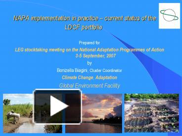 NAPA implementation in practice presentation | free to download