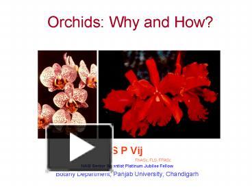 Orchids: Why and How? presentation | free to view