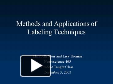 Methods and Applications of Labeling Techniques presentation | free to view