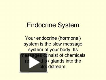 PPT – Endocrine System PowerPoint presentation | free to view - id ...