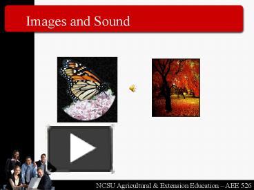 PPT – Images and Sound PowerPoint presentation | free to view - id ...