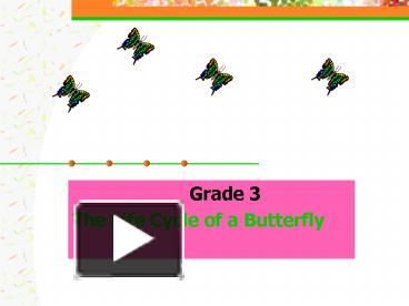 Grade 3 presentation | free to download