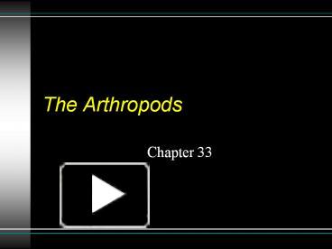 The Arthropods presentation | free to download