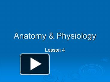 Anatomy presentation | free to download