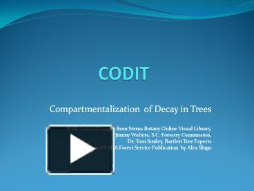 PPT – CODIT PowerPoint presentation | free to view - id: 3d3e73-OWUxN