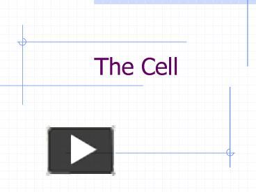 PPT – The Cell PowerPoint presentation | free to view - id: 3f8714-MTVkN