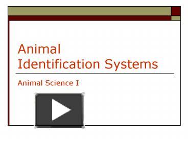 Animal Identification Systems presentation | free to view
