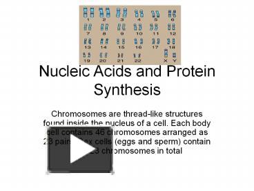 PPT – Nucleic Acids and Protein Synthesis PowerPoint presentation ...