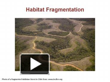 PPT – Habitat Fragmentation PowerPoint presentation | free to view - id ...