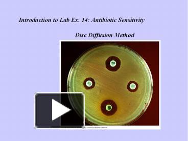 PPT – Introduction to Lab Ex. 14: Antibiotic Sensitivity PowerPoint ...