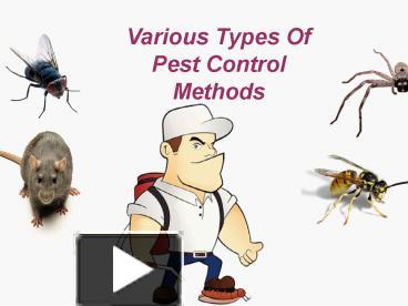 Exterminator Wesley Chapel