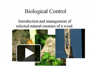 Biological Control presentation | free to view
