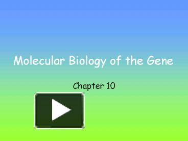 Molecular Biology of the Gene presentation | free to view