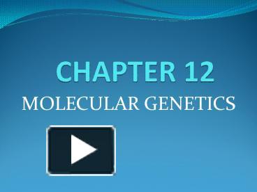 PPT – MOLECULAR GENETICS PowerPoint presentation | free to download ...
