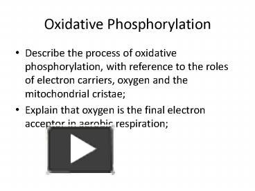 PPT – Oxidative Phosphorylation PowerPoint presentation | free to ...