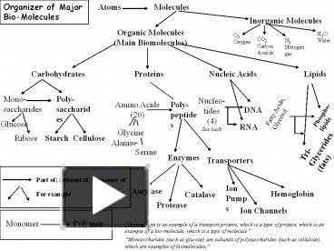 Molecules presentation | free to download