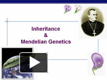 Inheritance presentation | free to view