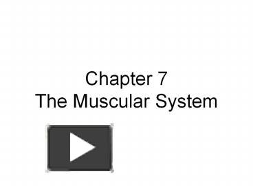 Chapter 7 The Muscular System presentation | free to download