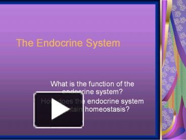 The Endocrine System presentation | free to download
