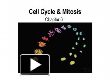 Cell Cycle presentation | free to view