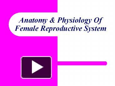 PPT – Anatomy%20 PowerPoint presentation | free to download - id ...