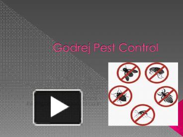 Calaméo - ISS Hicare - Pest Control Services