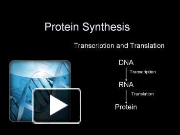 PPT – Protein Synthesis PowerPoint presentation | free to download - id ...