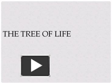 PPT – The Tree of Life PowerPoint presentation | free to view - id ...