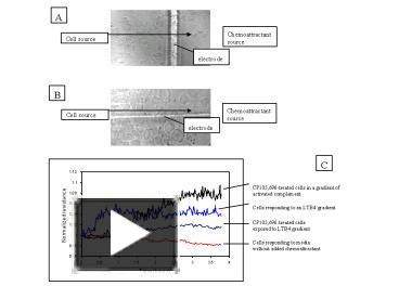 PPT – C PowerPoint presentation | free to download - id: 7c68d3-ZmE1Y