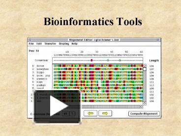 PPT – Bioinformatics Tools PowerPoint presentation | free to view - id ...