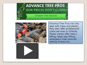Orlando Tree Service company - Advance Tree Pros presentation | free to ...