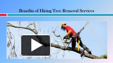 Tree Service West Palm Beach Fl