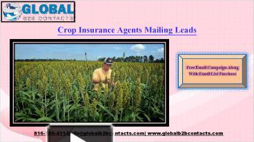 Crop Insurance Agents Mailing Leads presentation | free to download
