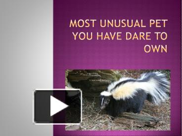 petsDevotee (1) presentation | free to download