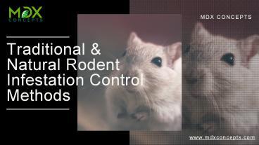 Traditional & Natural Rodent Infestation Control Methods presentation ...