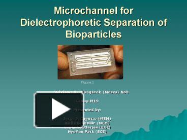 Microchannel for Dielectrophoretic Separation of Bioparticles ...