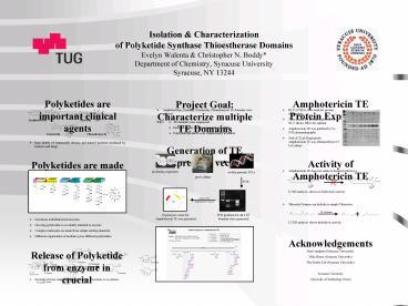 Isolation presentation | free to view