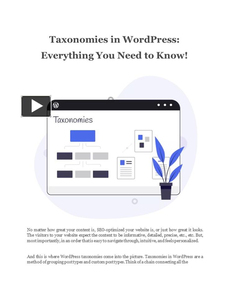 Taxonomies In Wordpress Everything You Need To Know Presentation
