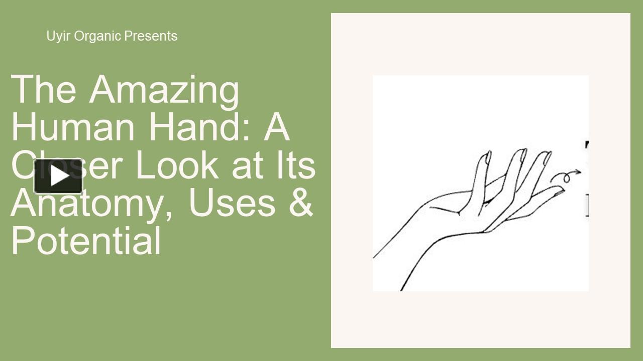 The Amazing Human Hand: A Closer Look at Its Anatomy, Uses & Potential ...