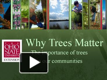 Why Trees Matter presentation | free to view
