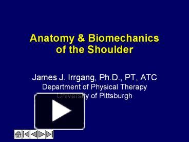 Anatomy presentation | free to download