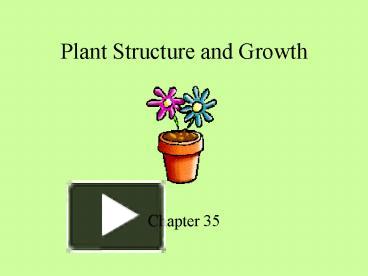 PPT – Plant Structure and Growth PowerPoint presentation | free to view ...