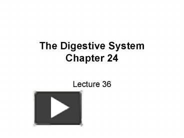 PPT – The Digestive System Chapter 24 PowerPoint presentation | free to ...