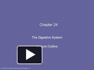 The Digestive System presentation | free to view