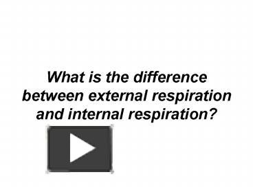 What is the difference between external respiration and internal ...